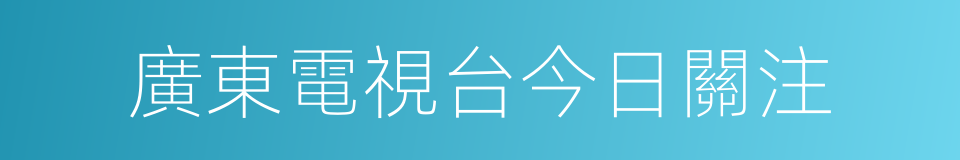 廣東電視台今日關注的同義詞