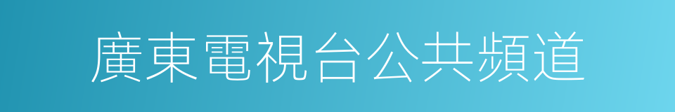 廣東電視台公共頻道的同義詞