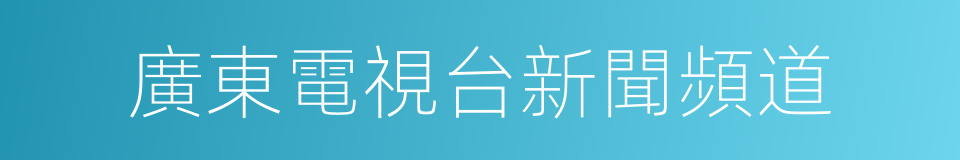 廣東電視台新聞頻道的同義詞