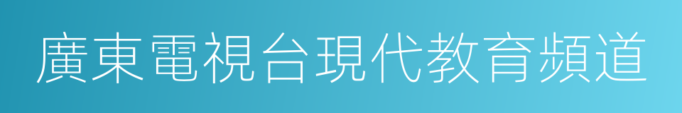 廣東電視台現代教育頻道的同義詞