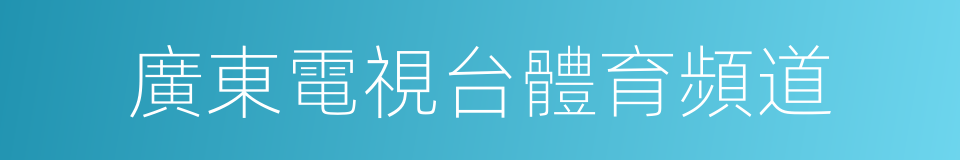 廣東電視台體育頻道的同義詞