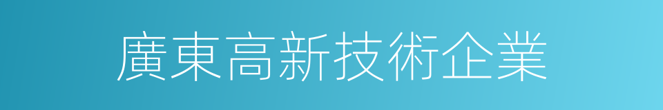 廣東高新技術企業的同義詞