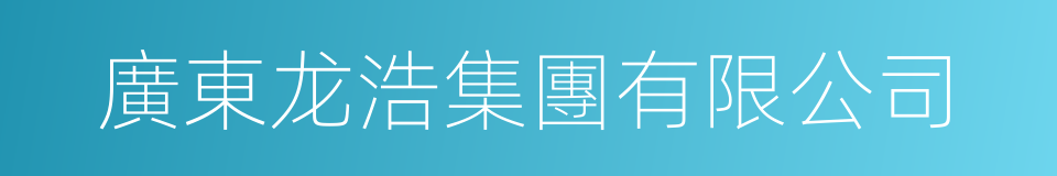 廣東龙浩集團有限公司的同義詞