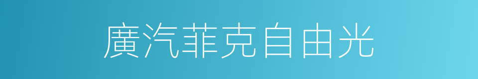 廣汽菲克自由光的同義詞
