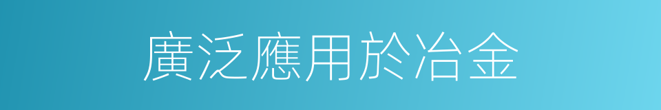 廣泛應用於冶金的同義詞