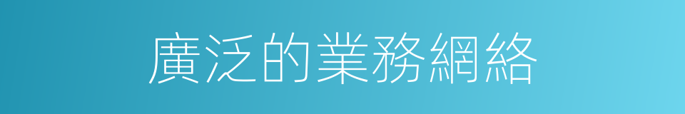 廣泛的業務網絡的同義詞