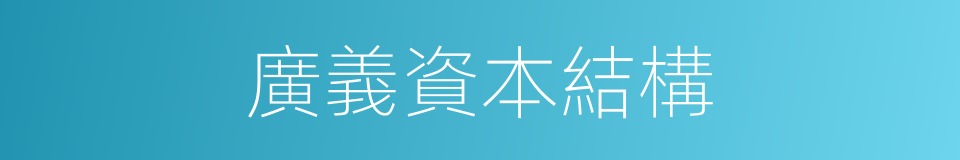 廣義資本結構的同義詞