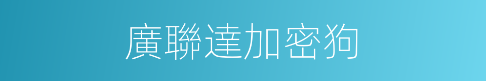 廣聯達加密狗的同義詞
