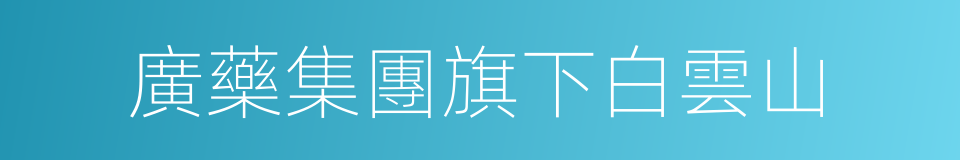 廣藥集團旗下白雲山的同義詞