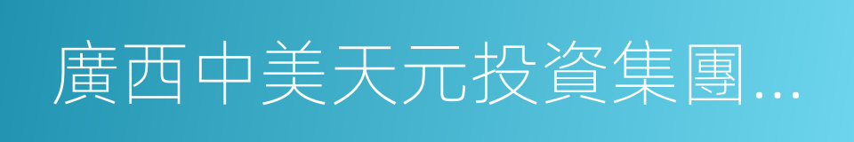 廣西中美天元投資集團有限公司的同義詞