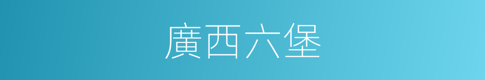 廣西六堡的同義詞