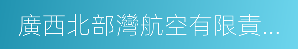 廣西北部灣航空有限責任公司的同義詞