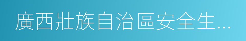 廣西壯族自治區安全生產監督管理局的同義詞