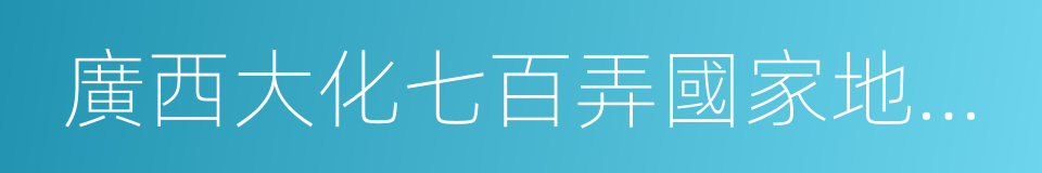 廣西大化七百弄國家地質公園的同義詞