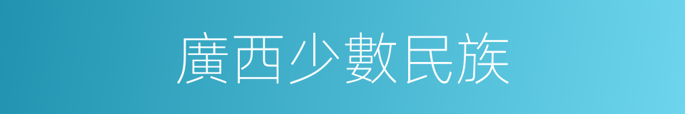 廣西少數民族的同義詞