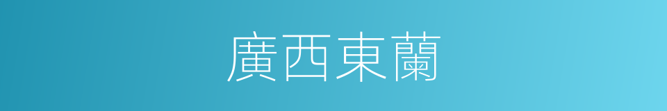 廣西東蘭的同義詞