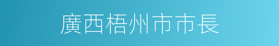 廣西梧州市市長的同義詞