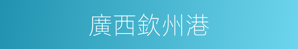 廣西欽州港的同義詞