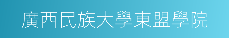 廣西民族大學東盟學院的同義詞