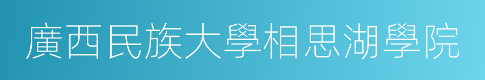 廣西民族大學相思湖學院的同義詞