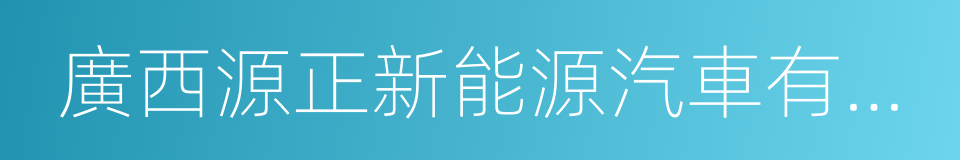 廣西源正新能源汽車有限公司的同義詞