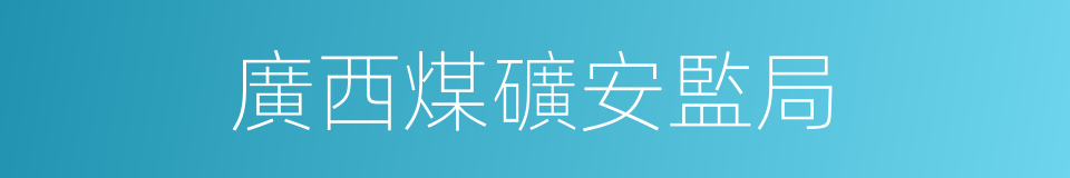 廣西煤礦安監局的同義詞