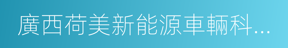 廣西荷美新能源車輛科技有限公司的同義詞