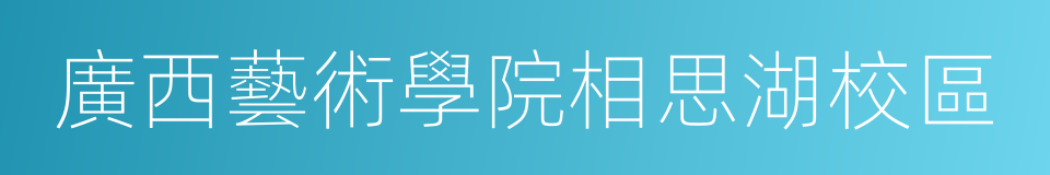 廣西藝術學院相思湖校區的同義詞