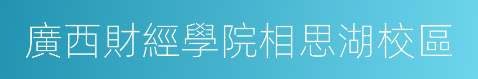 廣西財經學院相思湖校區的同義詞