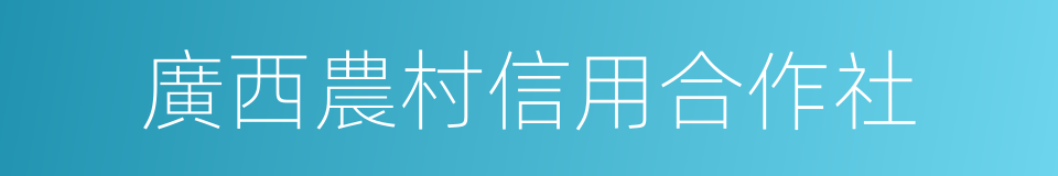 廣西農村信用合作社的同義詞