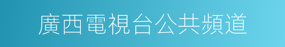 廣西電視台公共頻道的同義詞