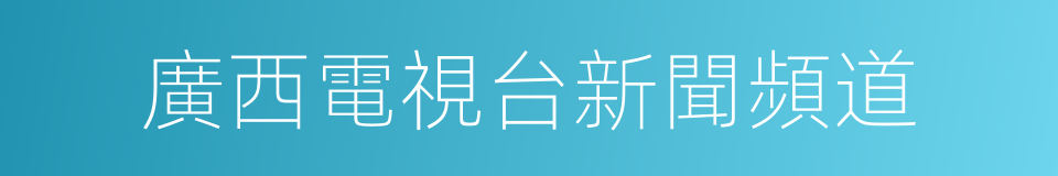 廣西電視台新聞頻道的同義詞