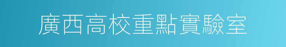 廣西高校重點實驗室的同義詞