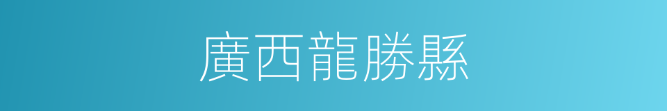 廣西龍勝縣的同義詞