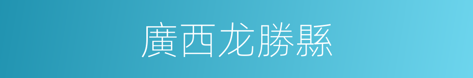 廣西龙勝縣的同義詞