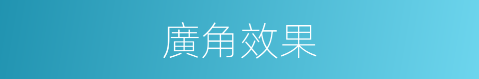 廣角效果的同義詞