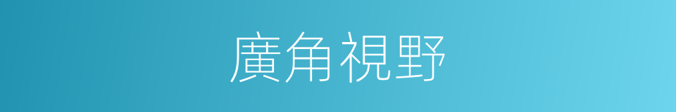 廣角視野的同義詞