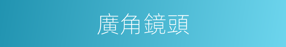 廣角鏡頭的意思