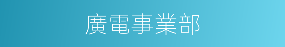 廣電事業部的同義詞