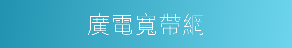 廣電寬帶網的同義詞