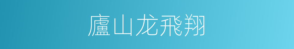廬山龙飛翔的同義詞