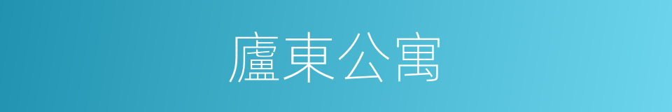 廬東公寓的同義詞