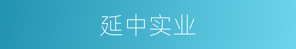 延中实业的同义词