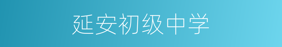 延安初级中学的同义词