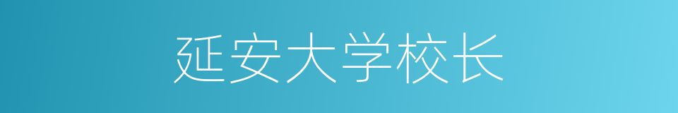 延安大学校长的同义词