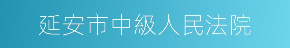 延安市中級人民法院的同義詞