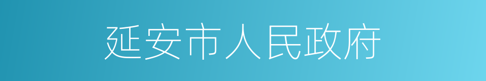 延安市人民政府的同义词