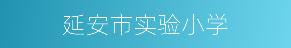 延安市实验小学的同义词