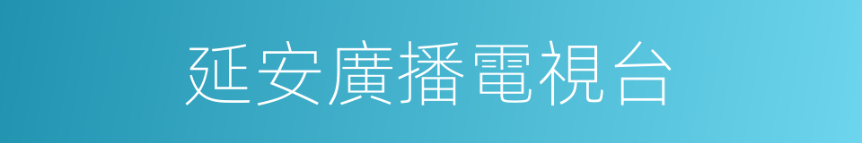 延安廣播電視台的同義詞