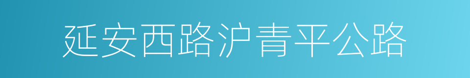 延安西路沪青平公路的同义词